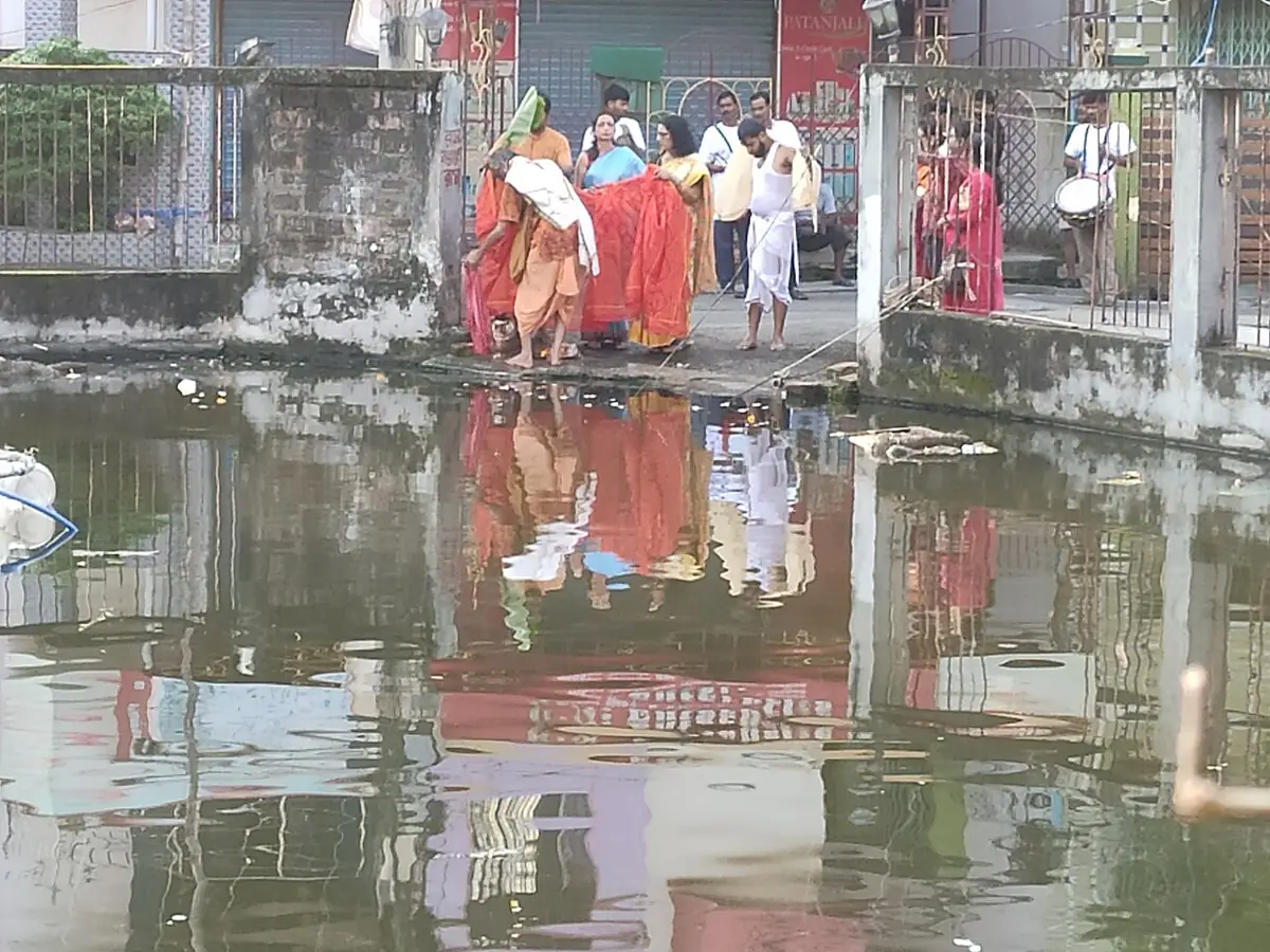 Kola Bou, the banana plant bride, is carried to the pond for her bath on Saptami morning.
